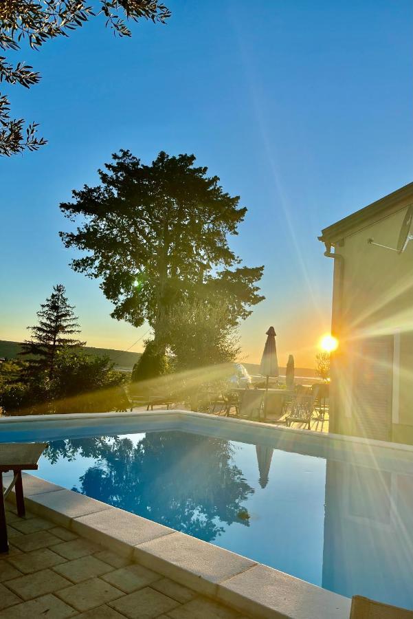 Porto Olive * Secovlje