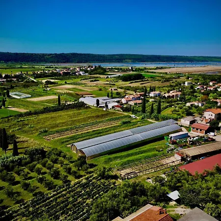 Vila Porto Olive Secovlje Exterior photo