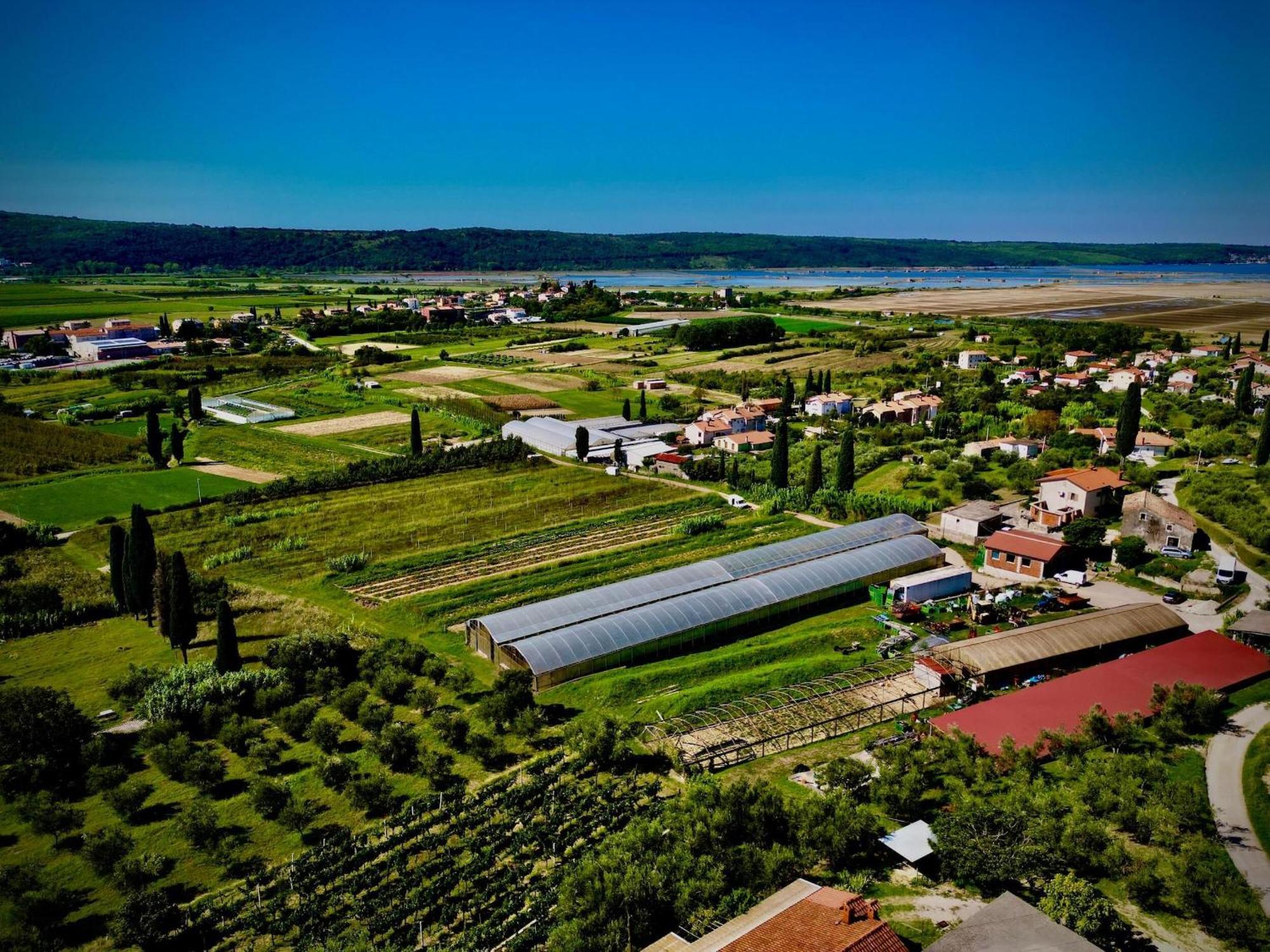 Porto Olive Villa Sečovlje